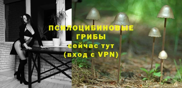 метадон Зеленодольск