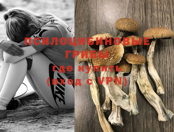 амф Инсар