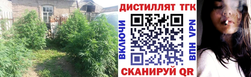 ТГК вейп сколько стоит Кашира