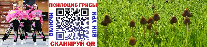 наркошоп  Кашира  Псилоцибиновые грибы прущие грибы 