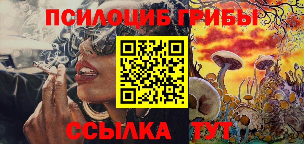 Кашира  Псилоцибиновые грибы прущие грибы  Вход с VPN 