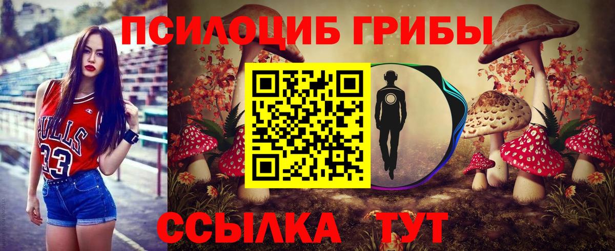Псилоцибиновые грибы GOLDEN TEACHER Кашира